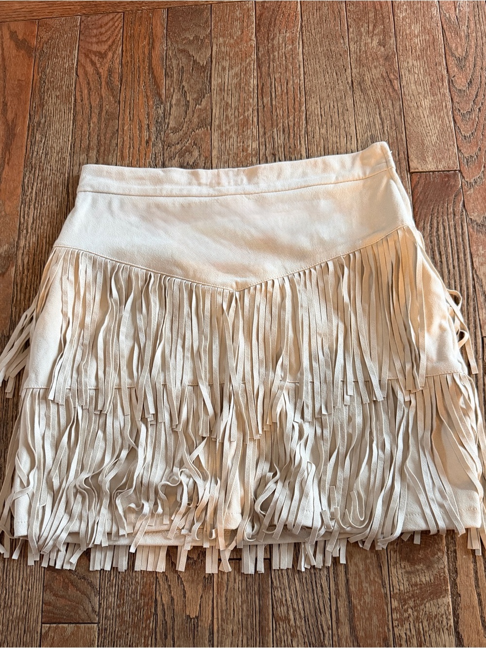 Francesca’s Fringe Skirt